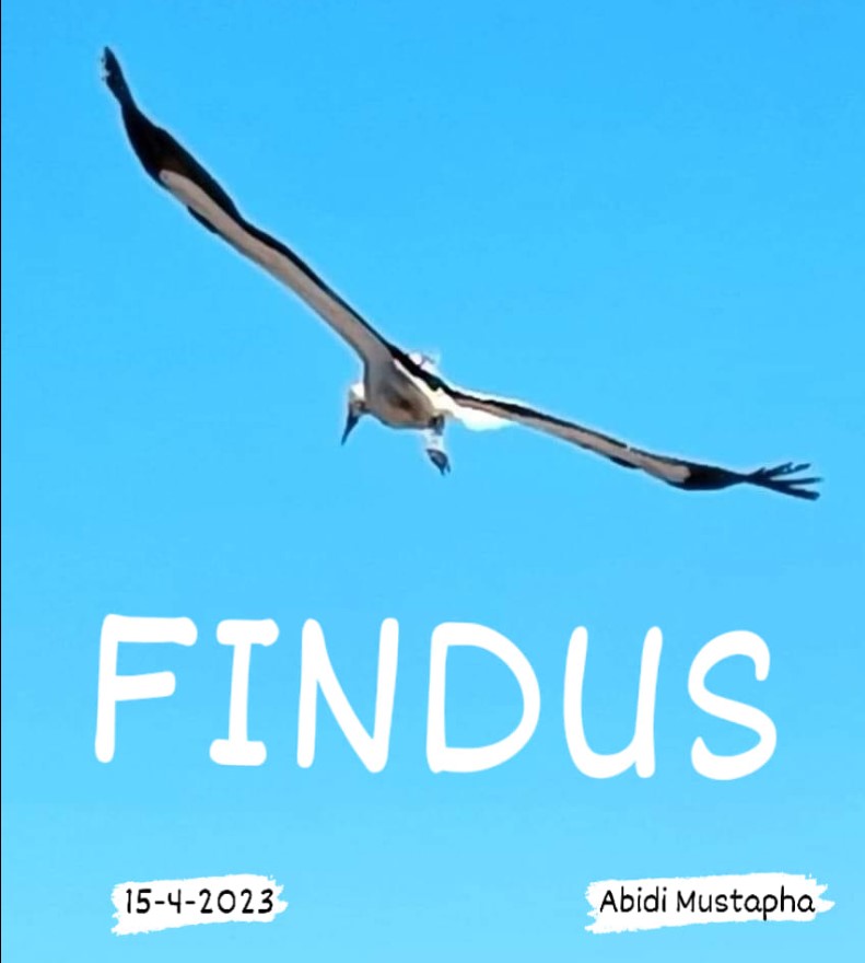 Findus naet til Marokko Storkene.dk