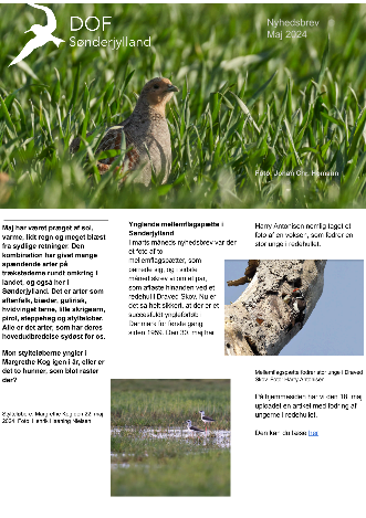 MAJ 2024