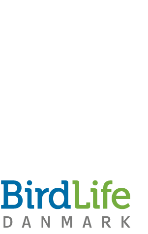 Bokshoej DOFH logo